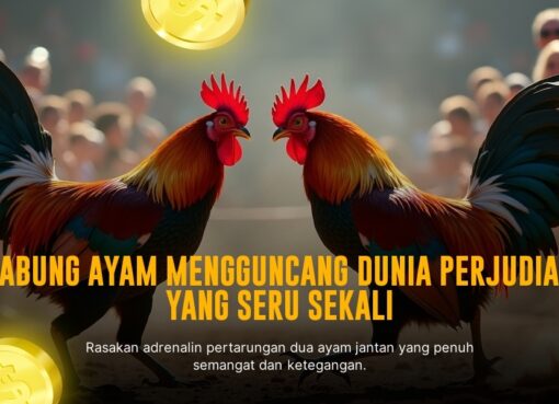 Mengenal Ayam Bangkok: Raja Sabung Ayam dengan Peluang Menang Tinggi