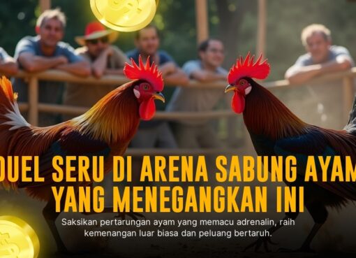 Mengenal Jenis Ayam Bangkok Unggulan di Sabung Ayam SV388