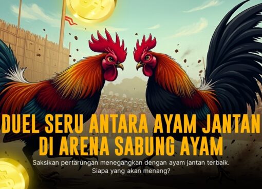 Mengenal Ayam Bangkok: Raja Dalam Dunia Sabung Ayam