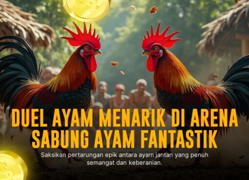 Mengungkap Kehebatan Ayam Bangkok dalam Sabung Ayam SV388